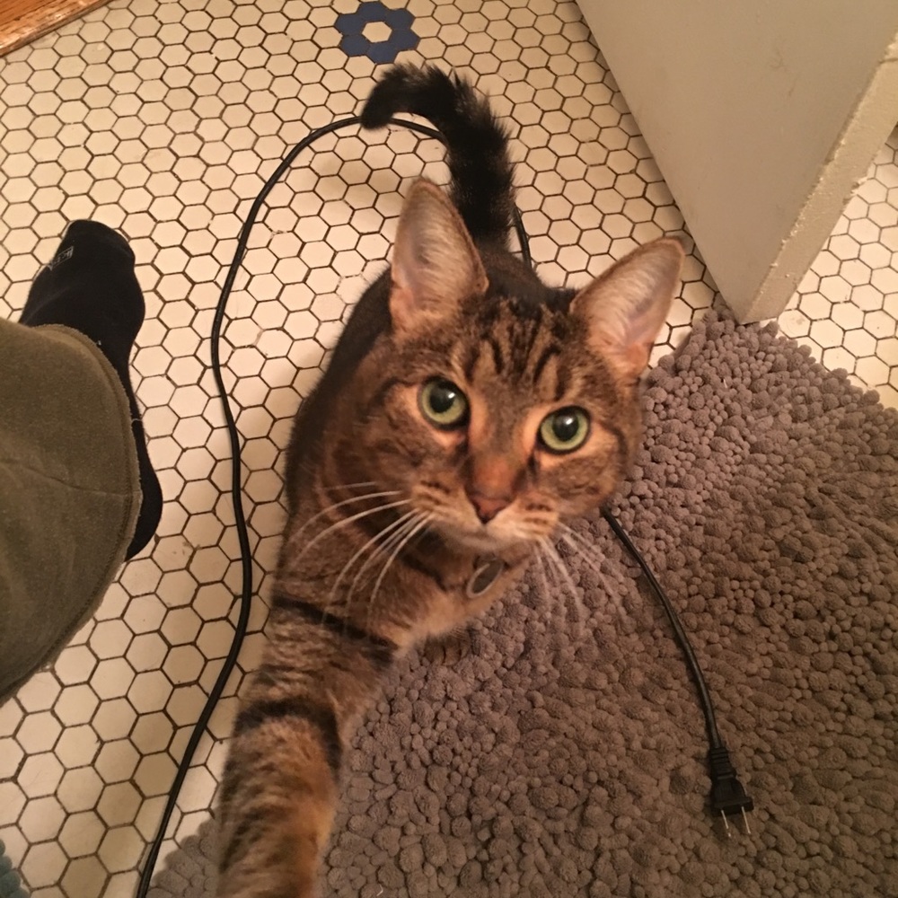 Meet your Posher, Vincent
